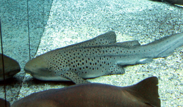 IMG-00013624