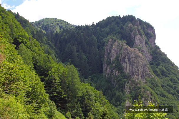 photo 1947212