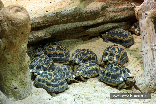 photo 2007725