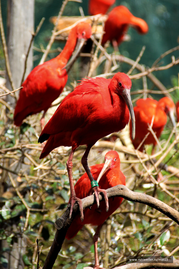 photo 2010301