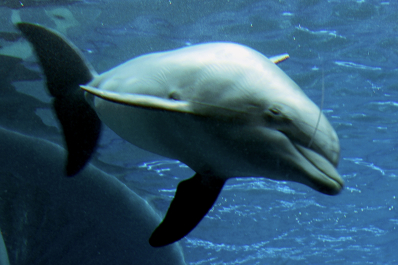 photo 2040354