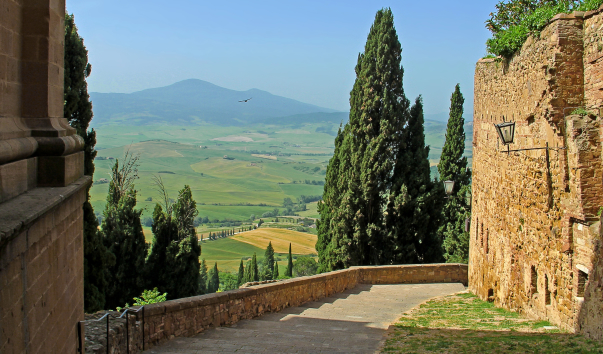 IMG-00013059
