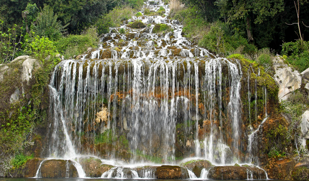 IMG-00011231