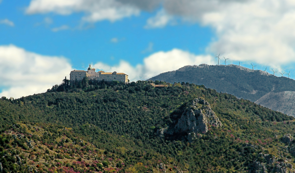 IMG-00011604