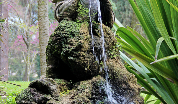 IMG-00011312