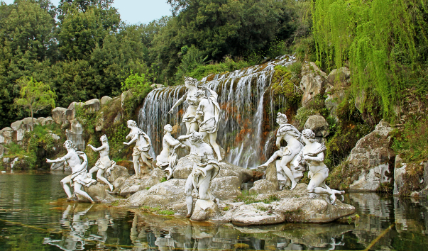 IMG-00011236