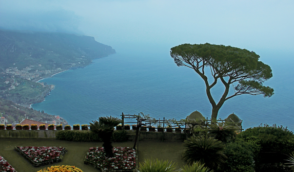 IMG-00011507