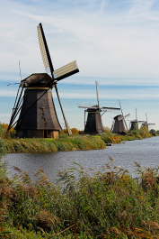 photo 1736715