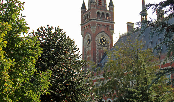 IMG-00008749