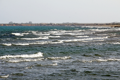 photo 1526351