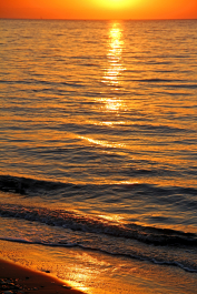 photo 1546677