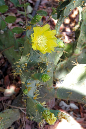 photo 1574243