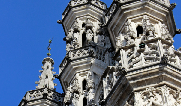 IMG-00009082