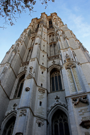 photo 1823669