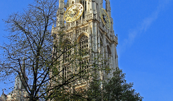 IMG-00008960