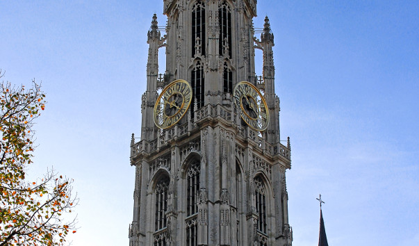 IMG-00008902