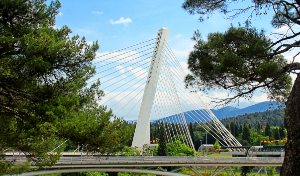 IMG-00002455