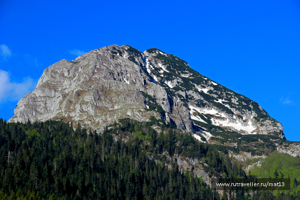 photo 1519582
