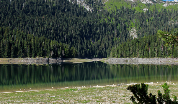 IMG-00002191