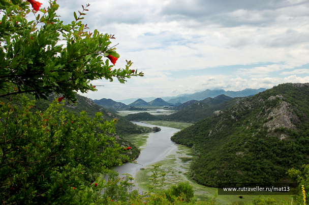 photo 1548679