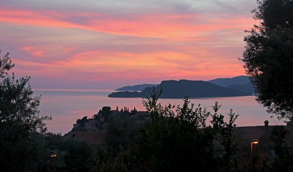 IMG-00002819