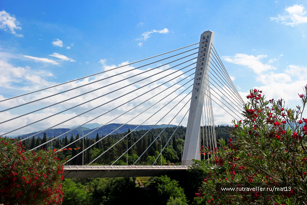 photo 1576964