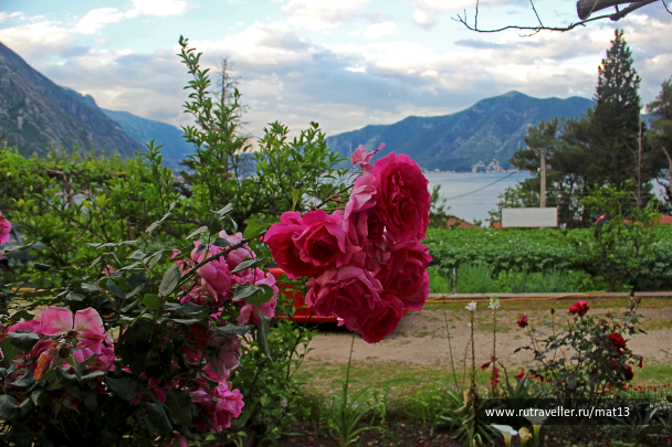 photo 1579614