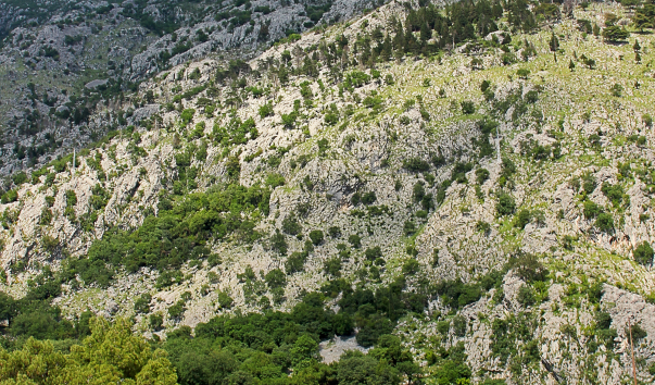 IMG-00001252