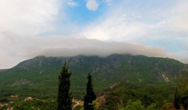 IMG-00002936