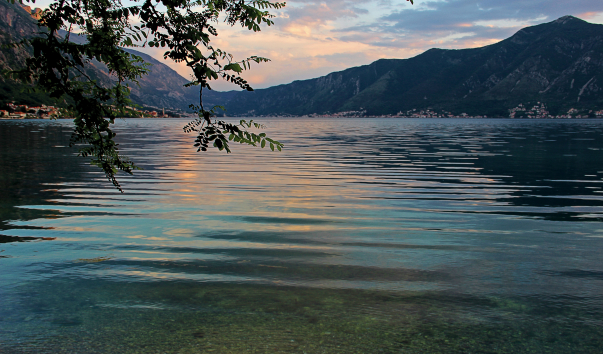 IMG-00001324