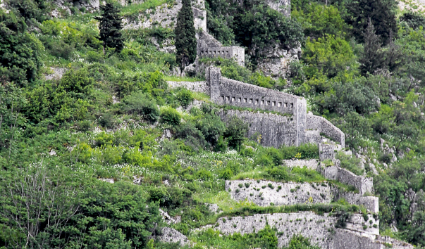 IMG-00001257