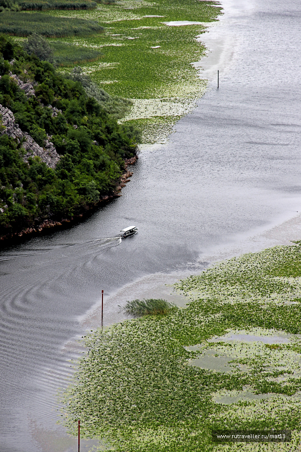 photo 1623519