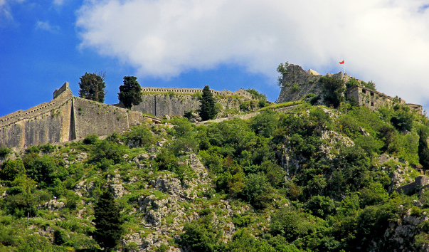 IMG-00001229