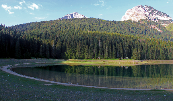 IMG-00002134