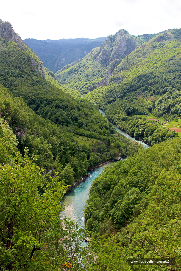 photo 1718382
