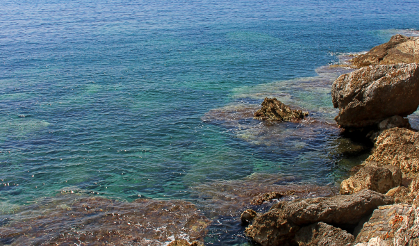 IMG-00002807