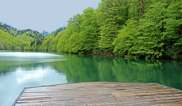 IMG-00016960