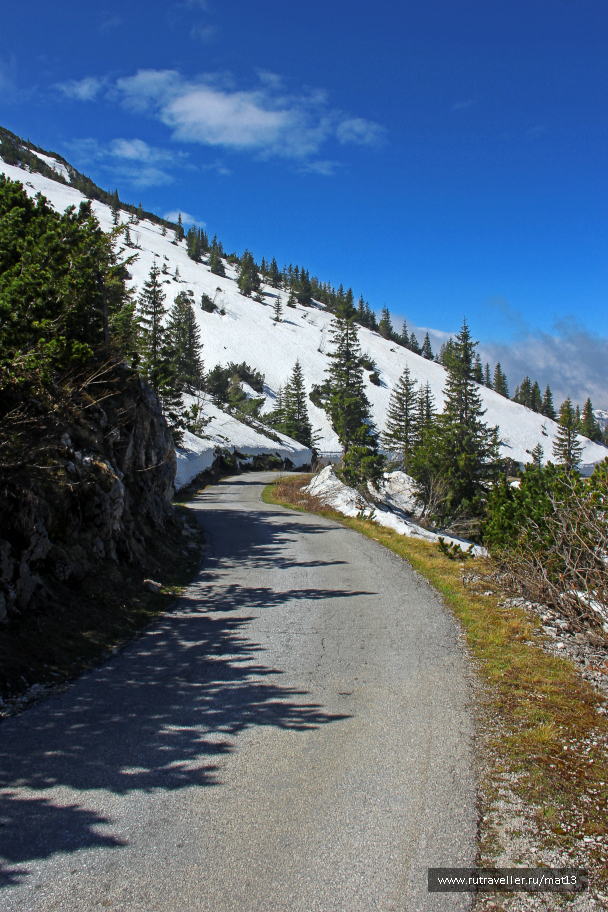 photo 2010158