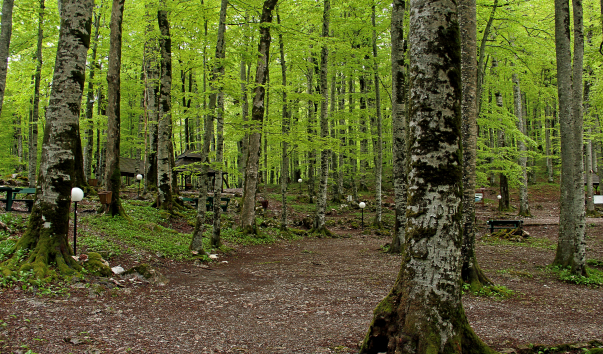 IMG-00016957
