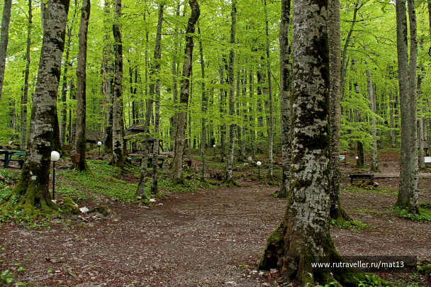 photo 2012525