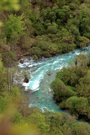 photo 2032934
