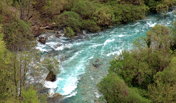 IMG-00017015