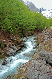 photo 2044782