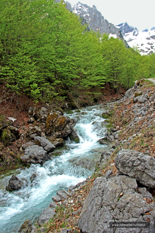 photo 2044782