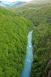photo 2047427