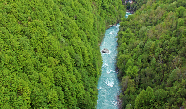 IMG-00017080