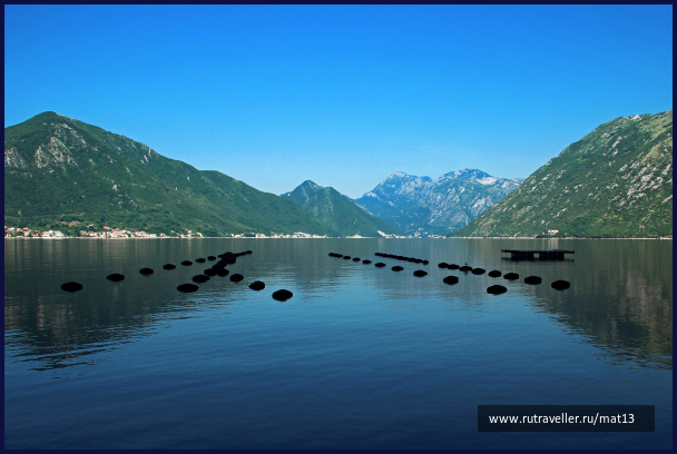 photo 2048333