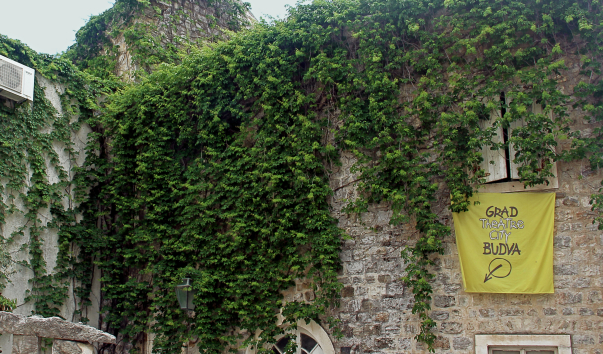 IMG-00018621