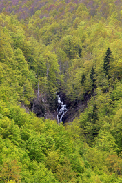 photo 2057864
