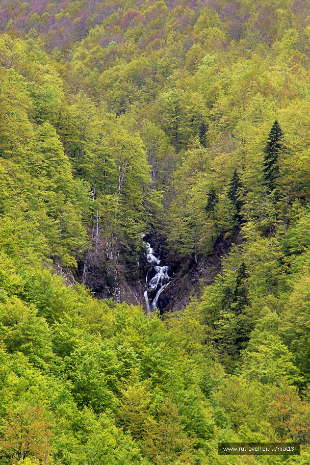 photo 2057864
